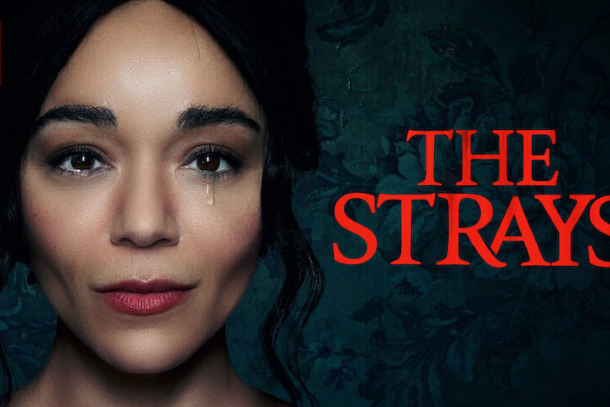 Film The Strays (2023) Tayang Bisa Nonton Dimana Saja? Berikut Informasi Penayangan Lengkap Jalan Cerita