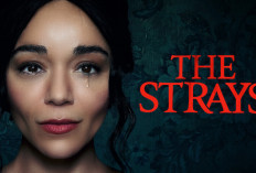 Film The Strays (2023) Tayang Bisa Nonton Dimana Saja? Berikut Informasi Penayangan Lengkap Jalan Cerita