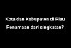 Terinspirasi Cerita Rakyat 7 Nama Kota dan Kabupaten di Riau Berasal dari Singkatan UNIK, Termasuk Kotamu?